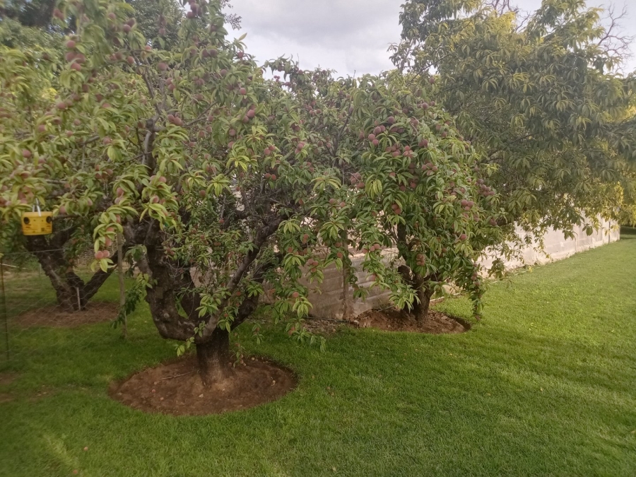 2 Bedroom Property for Sale in Brandfort Free State